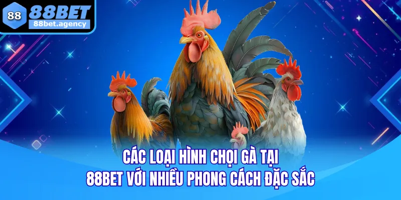 Các loại hình chọi gà tại 88BET với nhiều phong cách đặc sắc