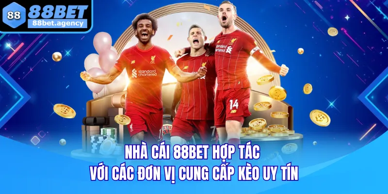Nhà cái 88BET hợp tác với các đơn vị cung cấp kèo uy tín