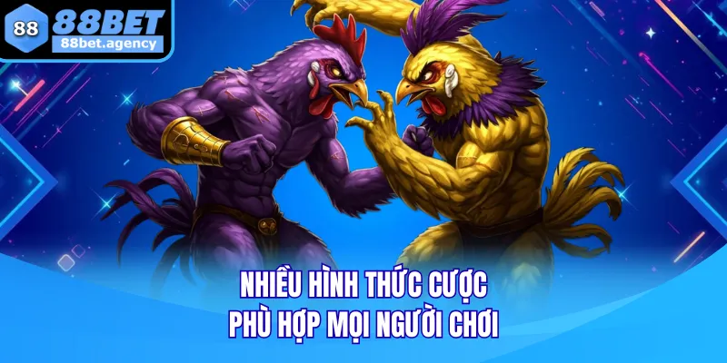 Nhiều hình thức cược phù hợp mọi người chơi